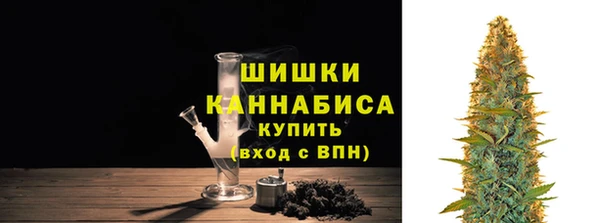 шишки Балабаново