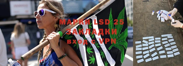 шишки Балабаново