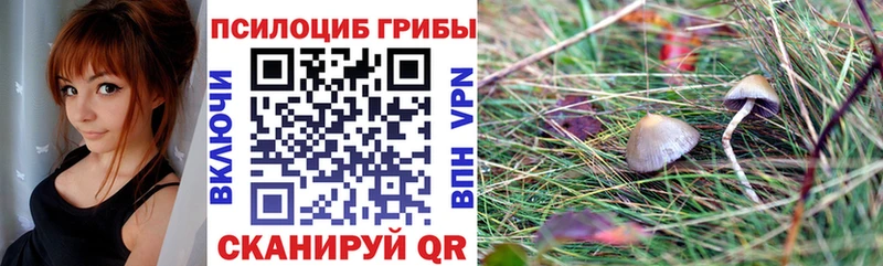 купить сайты Бирюч Галлюциногенные грибы мухоморы